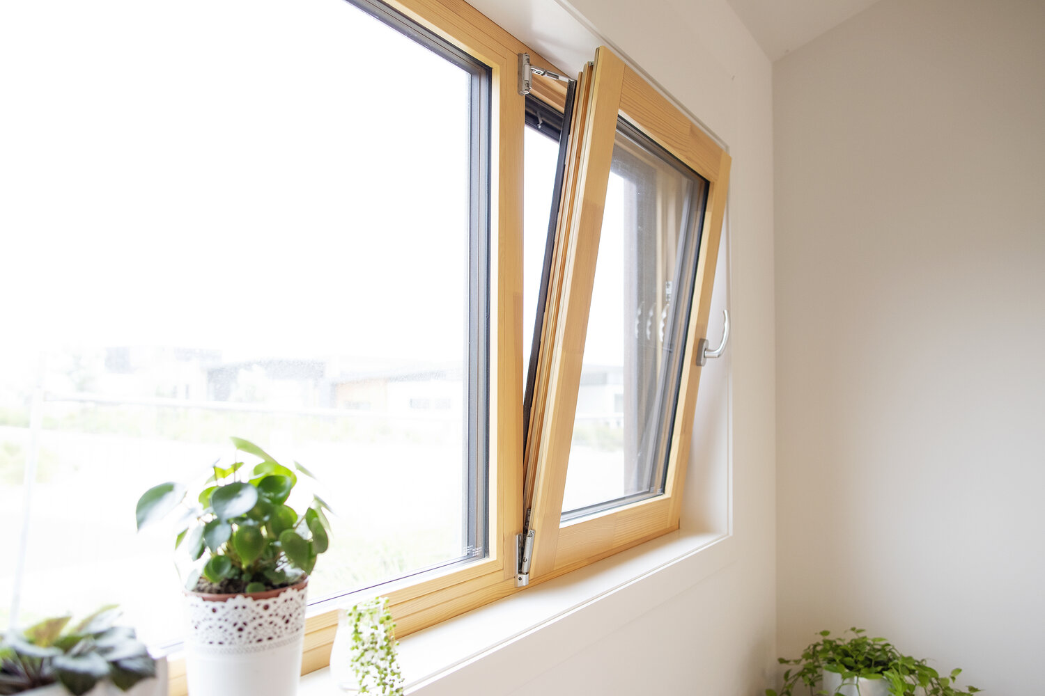 NSH_SUNLIGHT+HOUSE_005.jpg