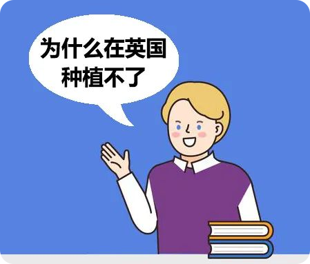 未标题-3.png